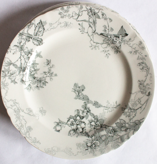 Royal Doulton Burlsem 10" 'Manly Beach' Australian Flora Black and White Dinner Plates (4)