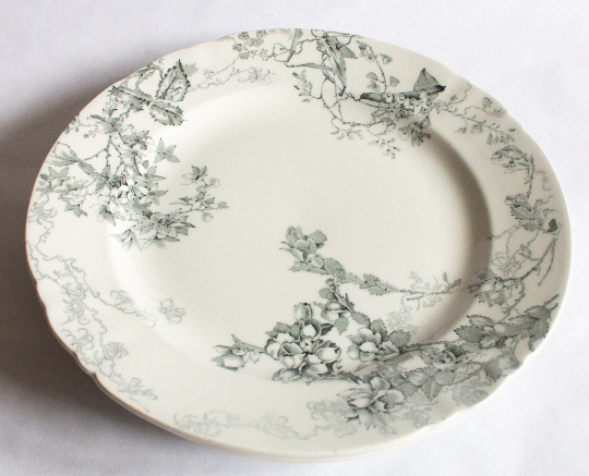 Royal Doulton Burlsem 10" 'Manly Beach' Australian Flora Black and White Dinner Plates (4)