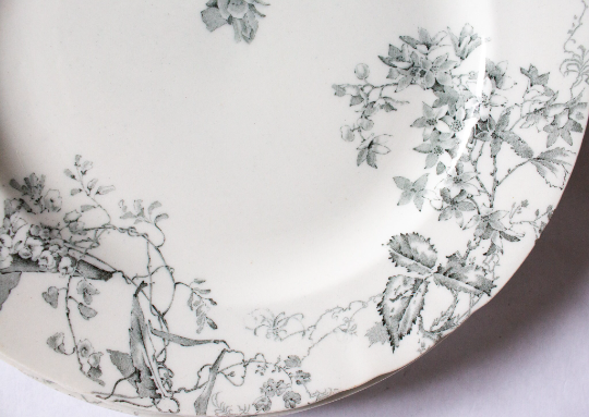 Royal Doulton Burlsem 10" 'Manly Beach' Australian Flora Black and White Dinner Plates (4)