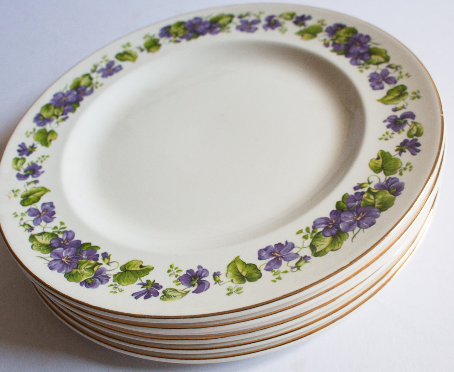 Swinnertons Staffordshire 9.75" Dinner Plates with Violet Floral Detail (6)