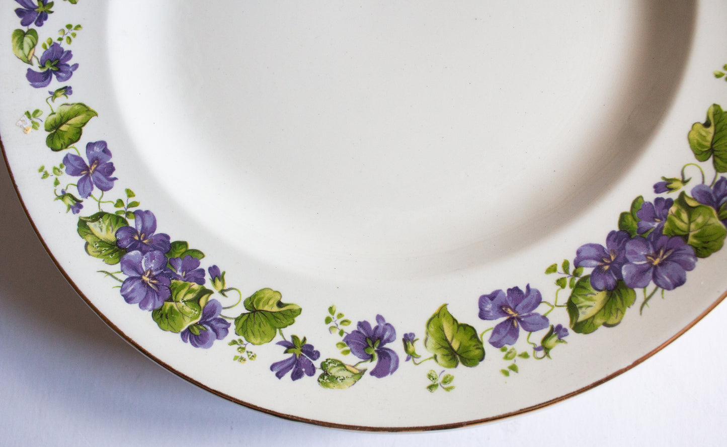 Swinnertons Staffordshire 9.75" Dinner Plates with Violet Floral Detail (6)