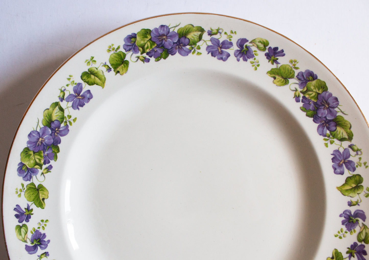 Swinnertons Staffordshire 9.75" Dinner Plates with Violet Floral Detail (6)