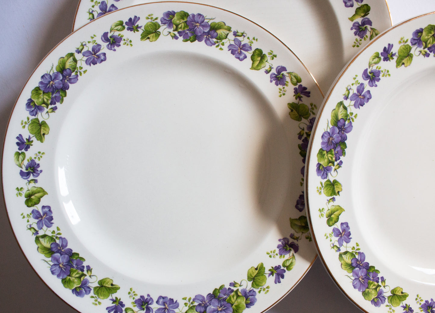 Swinnertons Staffordshire 9.75" Dinner Plates with Violet Floral Detail (6)