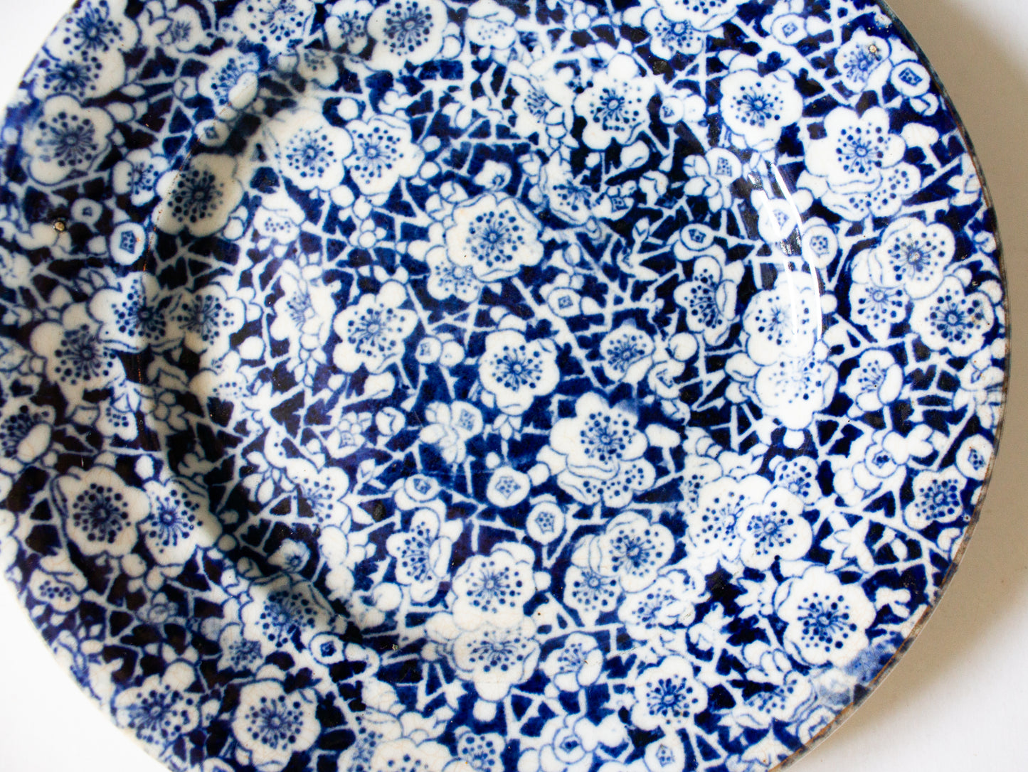 Antique Calico Pattern Blue and White Transferware 8" cm Plate