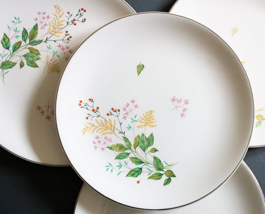 Johnson Bros. China 9" Plates with Summer Floral Detail (4)