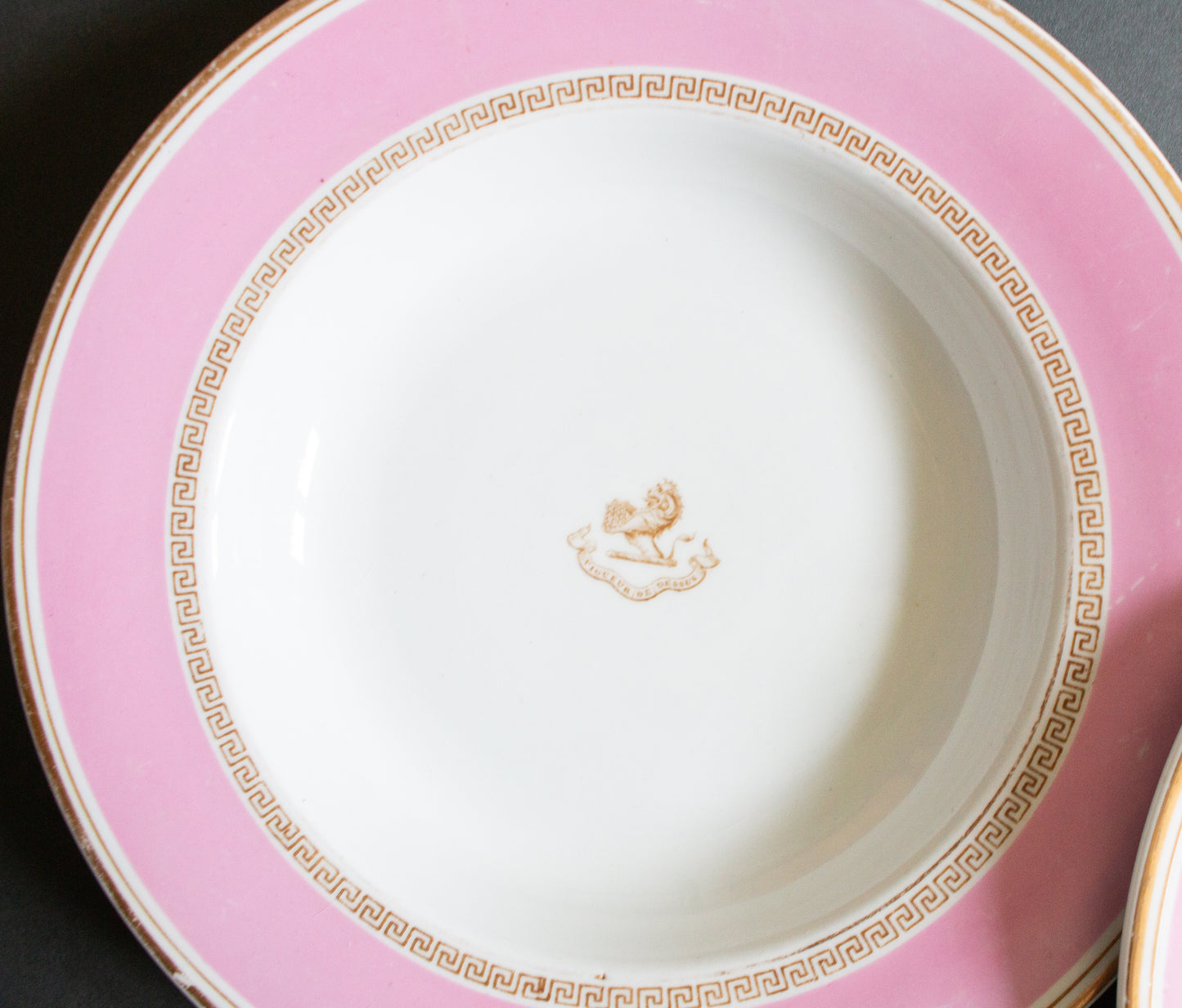 Antique G. W. Turner & Sons Pink Rimmed Plates or Bowls with Motto in French 'Vigueur de dessus'