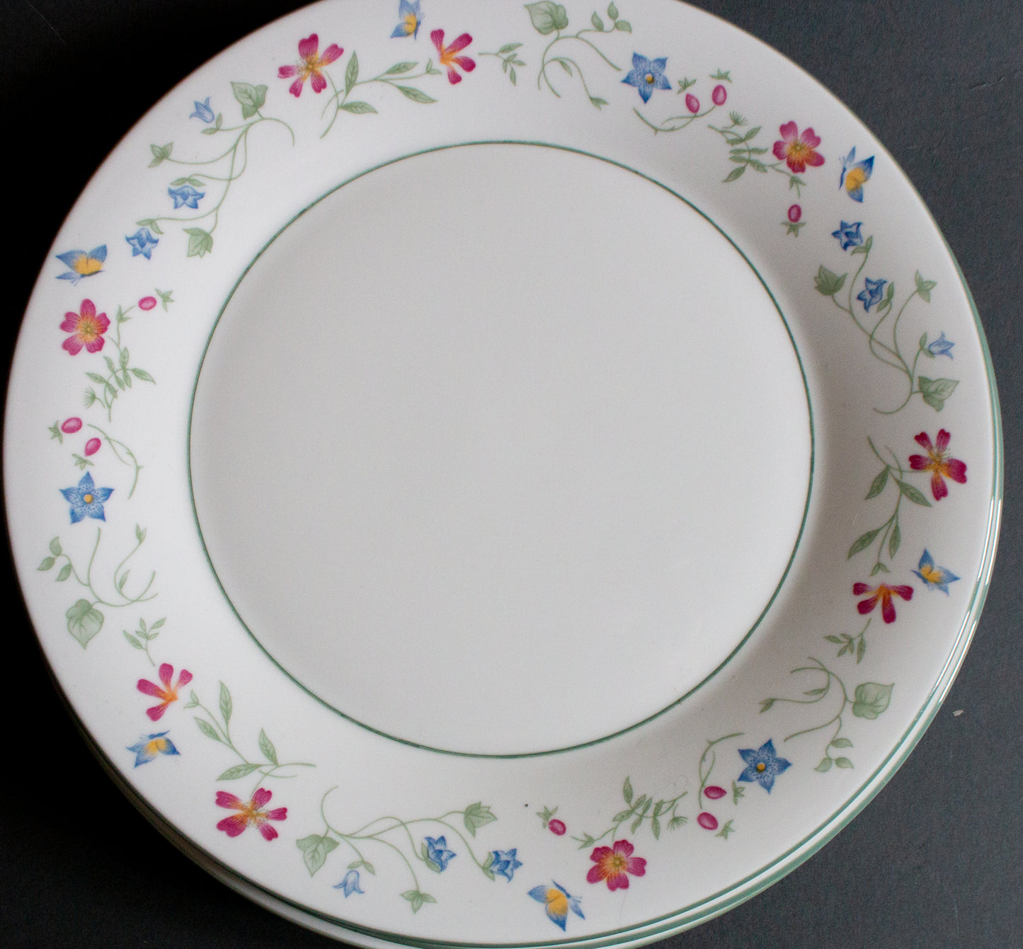 Royal Doulton China 'Expressions Florentina' Pattern 10.5" Dinner Plates (5)