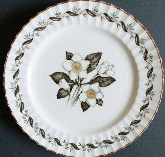 Royal Worcester Bone China 'Engadine' Pattern 10.5" Dinner Plates (4)