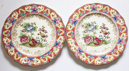 Vintage English Bone China Pink and Floral 9" Plates (2)