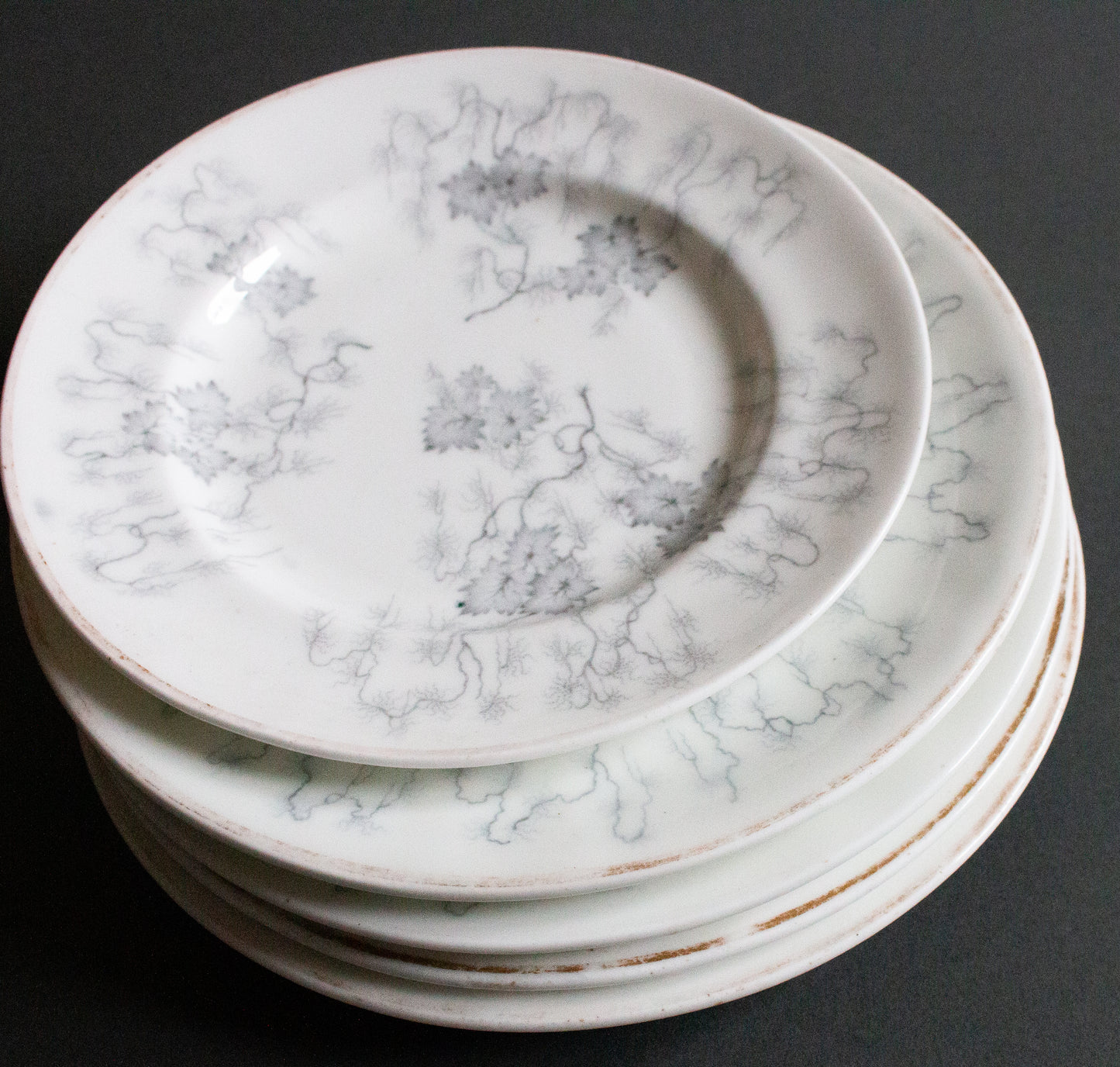 Grainger Worcester Antique China 'Moss Fibre' Plates (5)