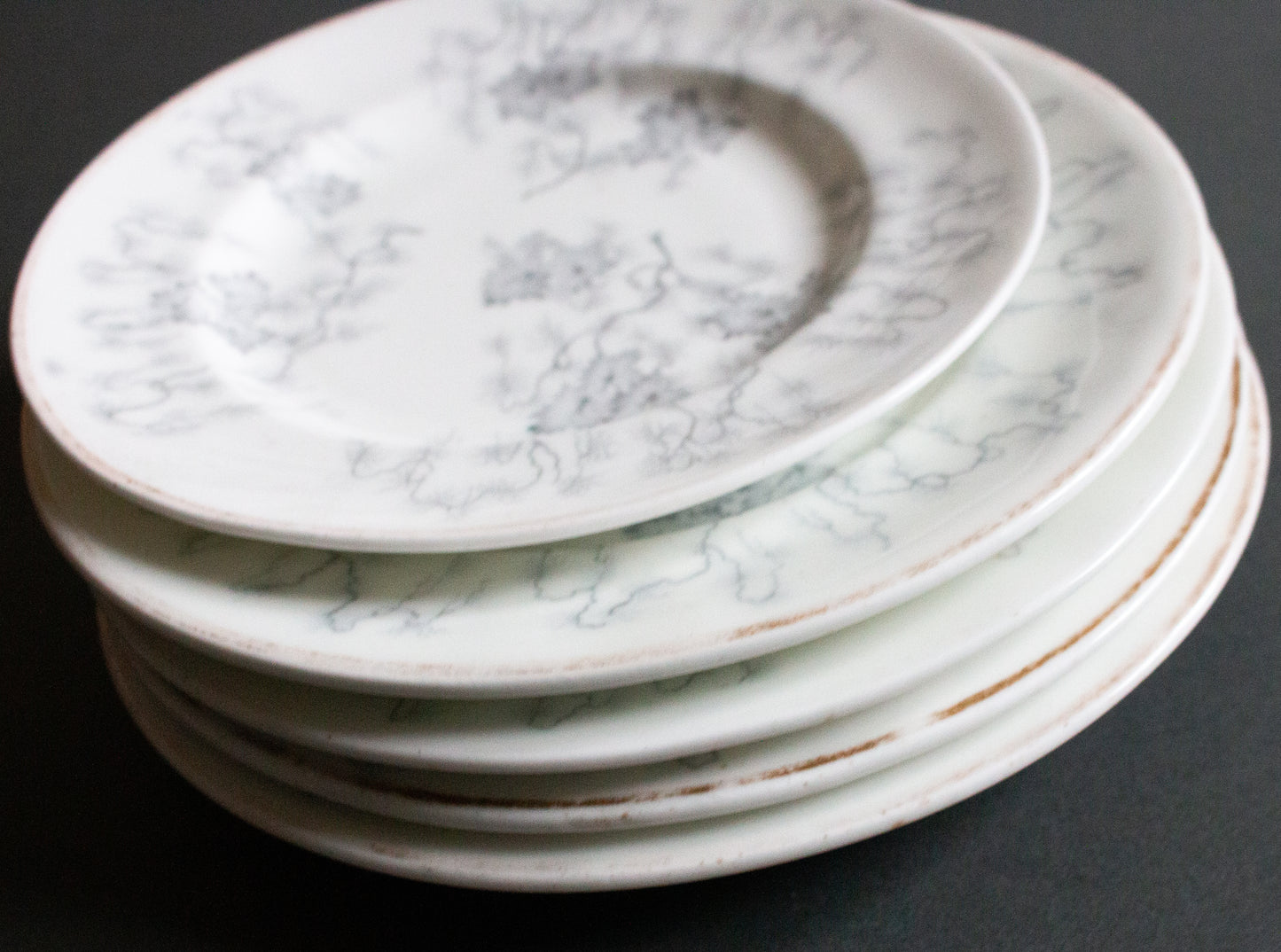 Grainger Worcester Antique China 'Moss Fibre' Plates (5)