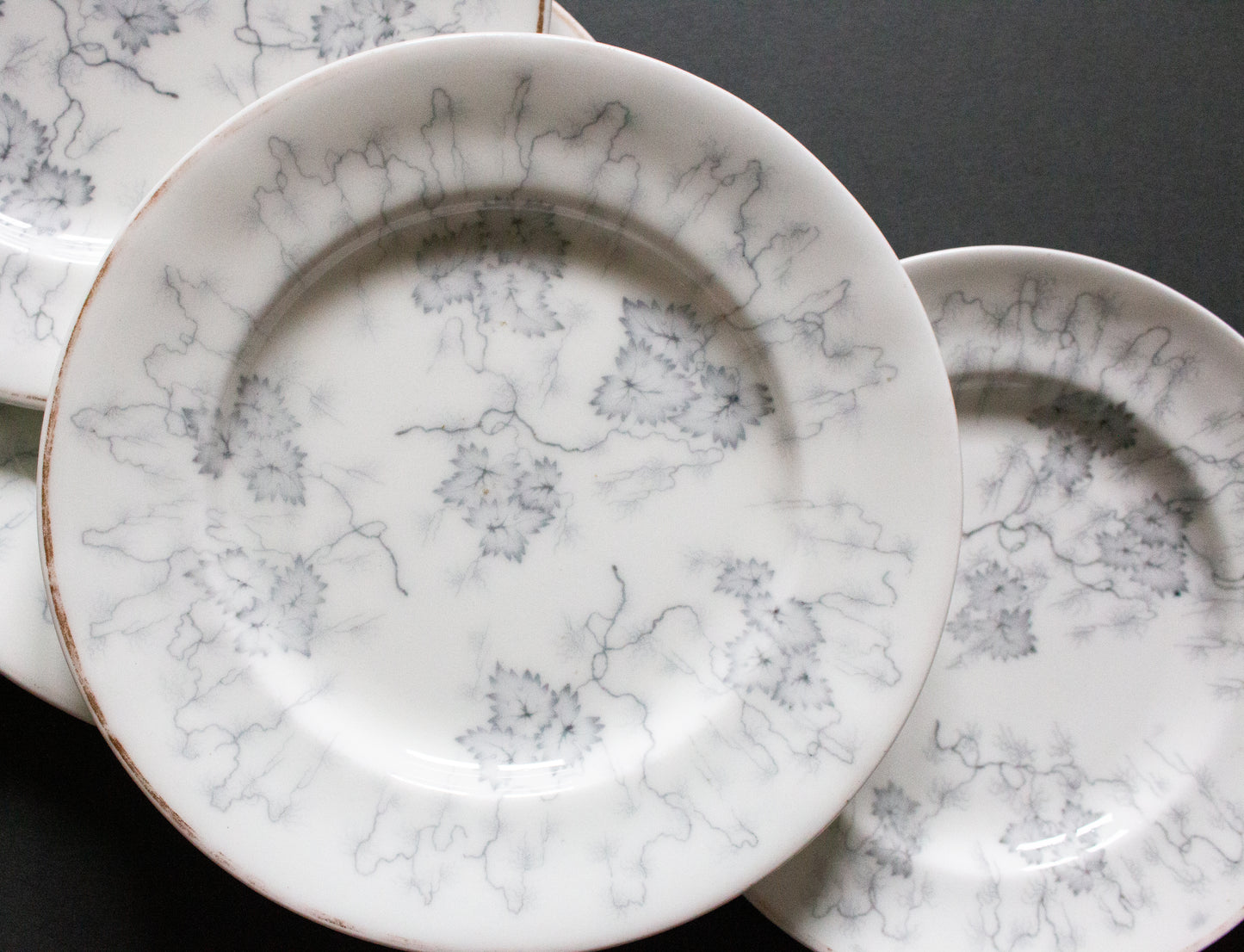 Grainger Worcester Antique China 'Moss Fibre' Plates (5)