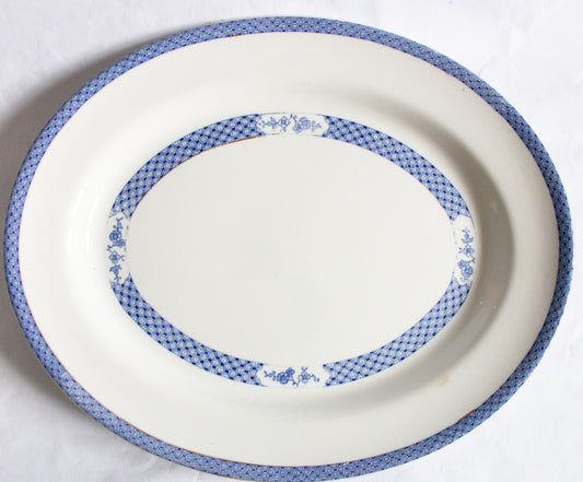 Solian Ware 'Swansea' Pattern Large Blue and White Transferware Serving Platter