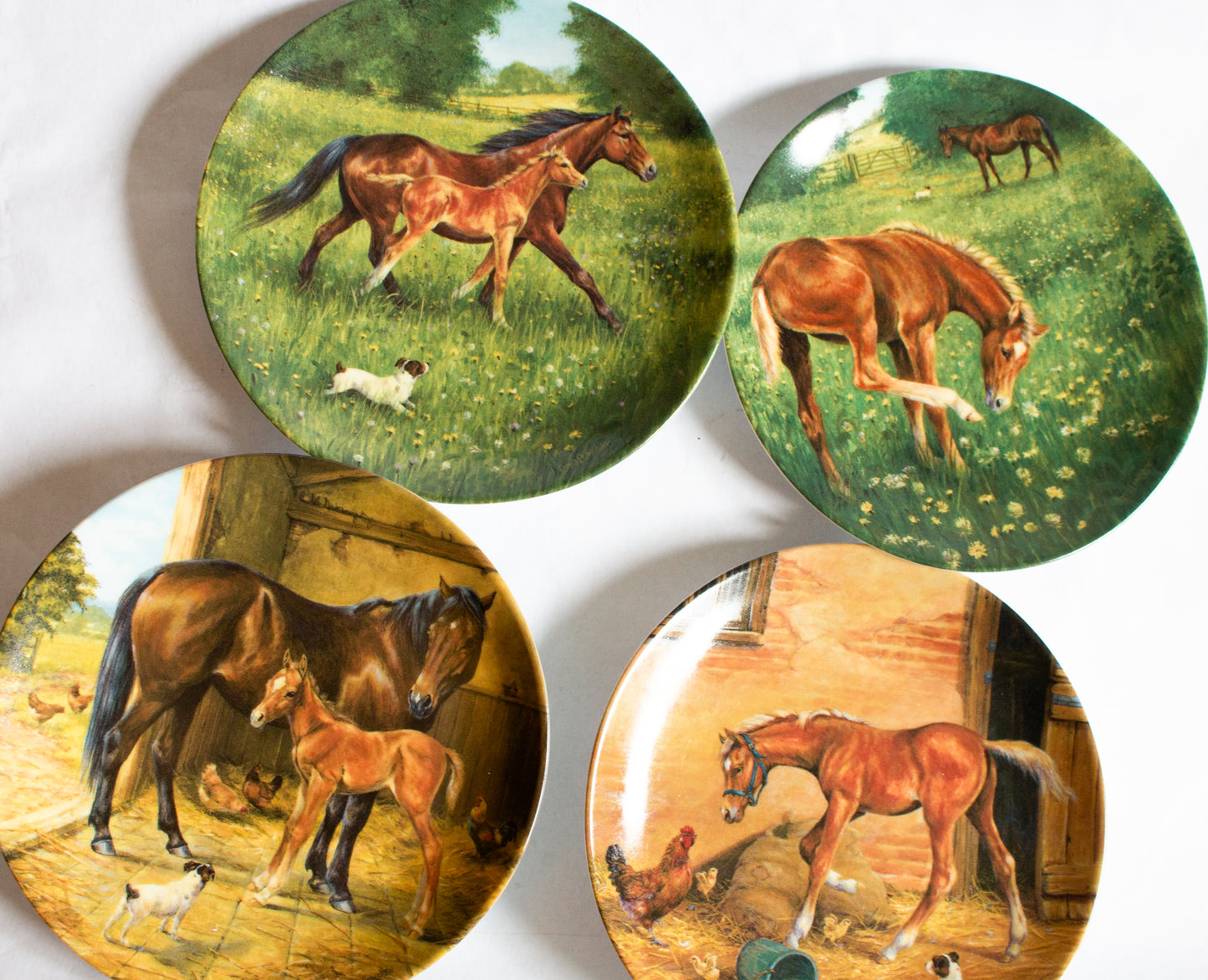 Royal Worcester  Donna Crawshaw's 'Tomorrow's Champion' Series Collector's Plates (4)