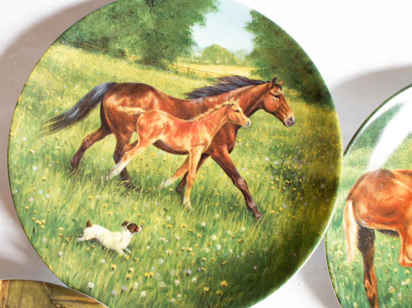 Royal Worcester  Donna Crawshaw's 'Tomorrow's Champion' Series Collector's Plates (4)