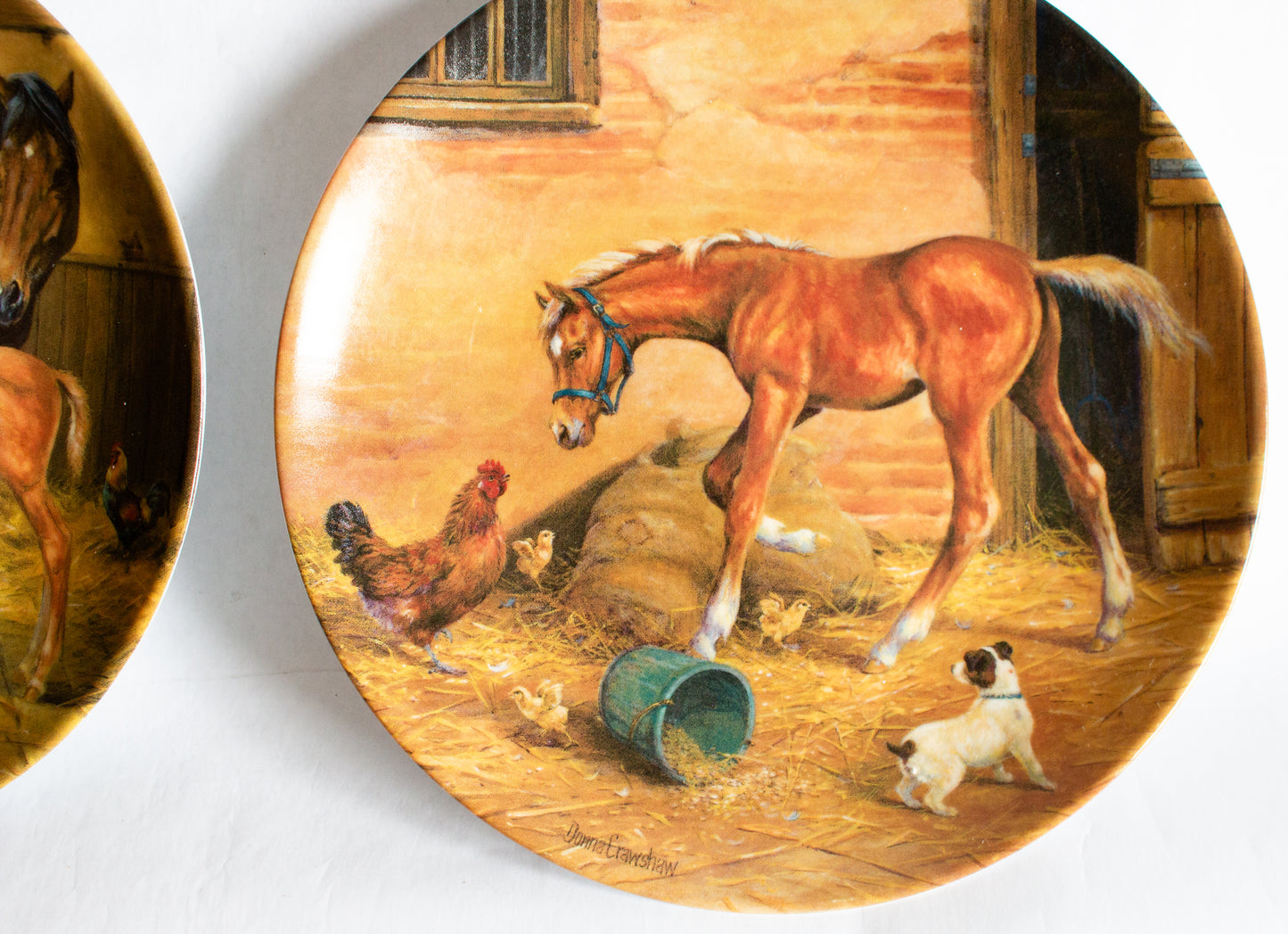 Royal Worcester  Donna Crawshaw's 'Tomorrow's Champion' Series Collector's Plates (4)