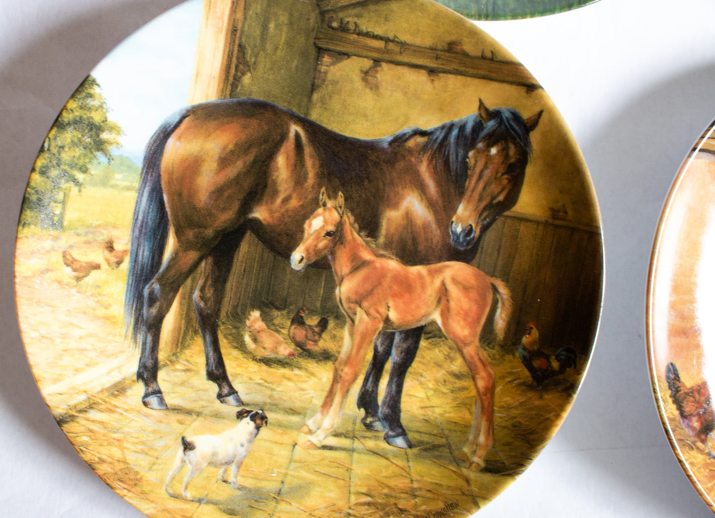 Royal Worcester  Donna Crawshaw's 'Tomorrow's Champion' Series Collector's Plates (4)