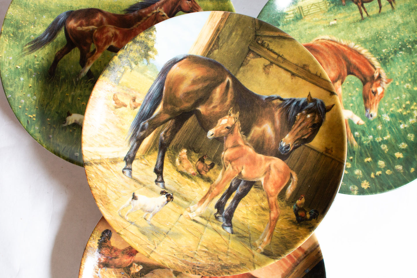 Royal Worcester  Donna Crawshaw's 'Tomorrow's Champion' Series Collector's Plates (4)