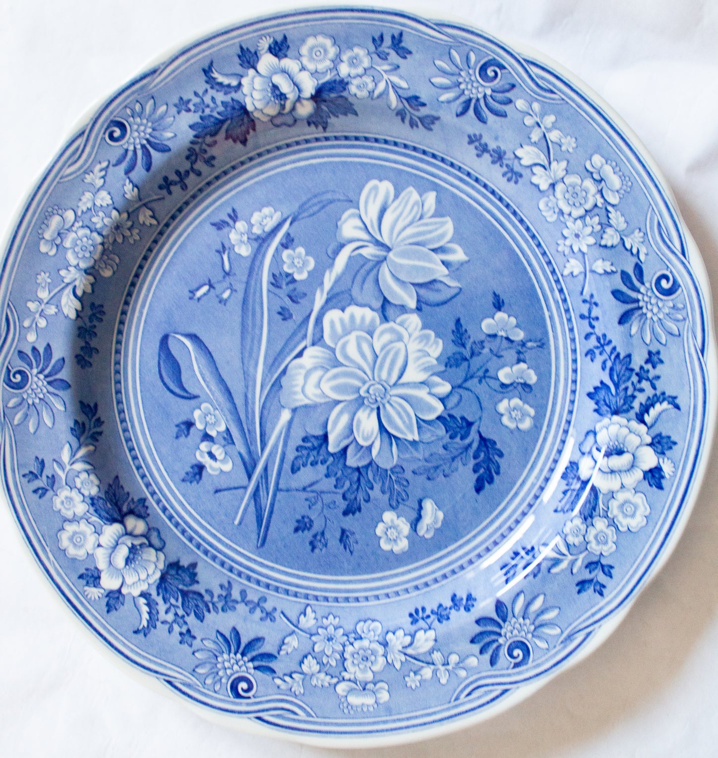 Copy of Spode 'Blue Room Collection' Blue and White Transferware Plate 'Botanical'