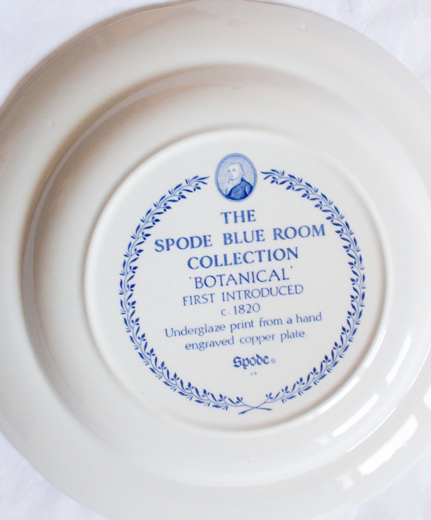 Copy of Spode 'Blue Room Collection' Blue and White Transferware Plate 'Botanical'