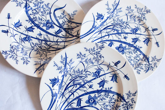 English Ironstone Tableware (EIT) Blue and White Transferware 9.75" Plates (3)