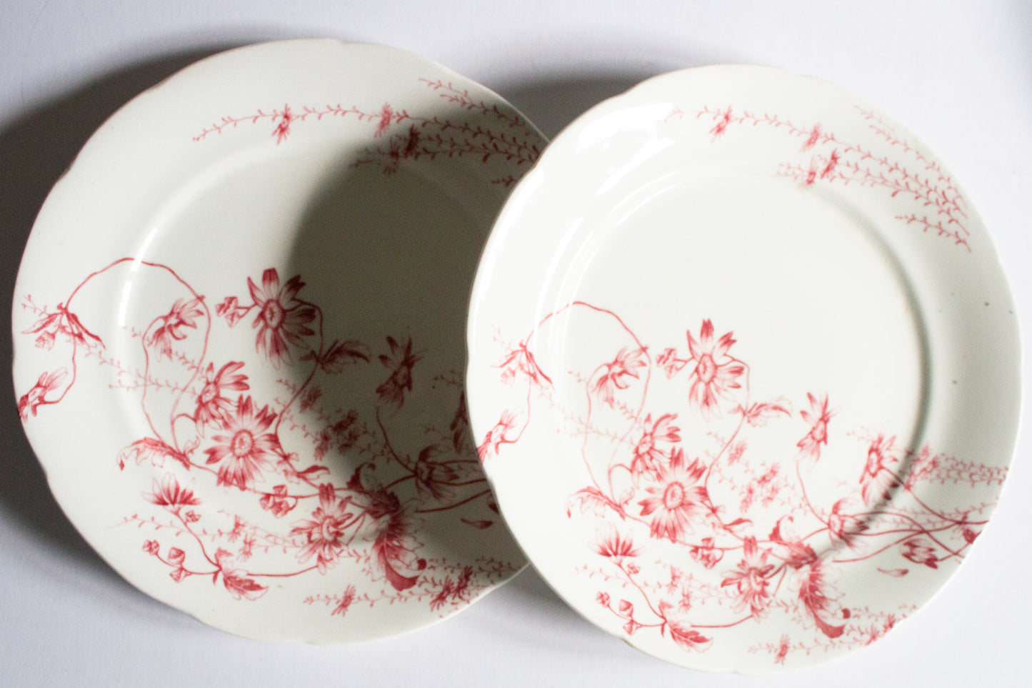 Antique G. W. Turner and Sons Tunstall Beatrice  Red and White Transferware 10.25" Dinner Plates (2)