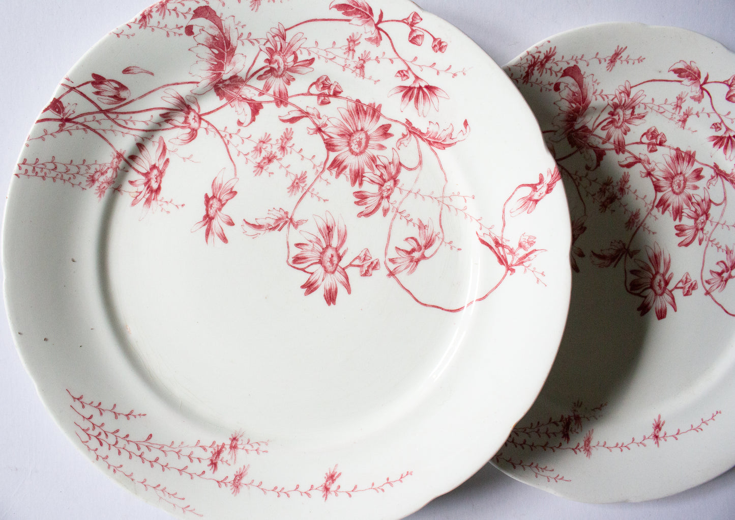 Antique G. W. Turner and Sons Tunstall Beatrice  Red and White Transferware 10.25" Dinner Plates (2)