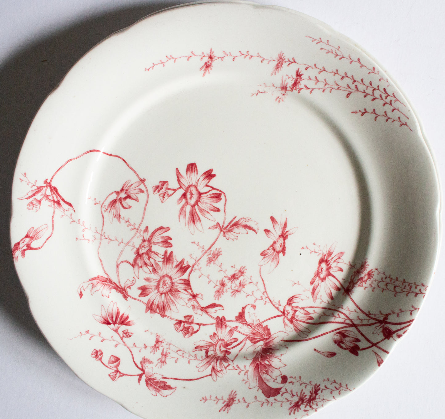 Antique G. W. Turner and Sons Tunstall Beatrice  Red and White Transferware 10.25" Dinner Plates (2)