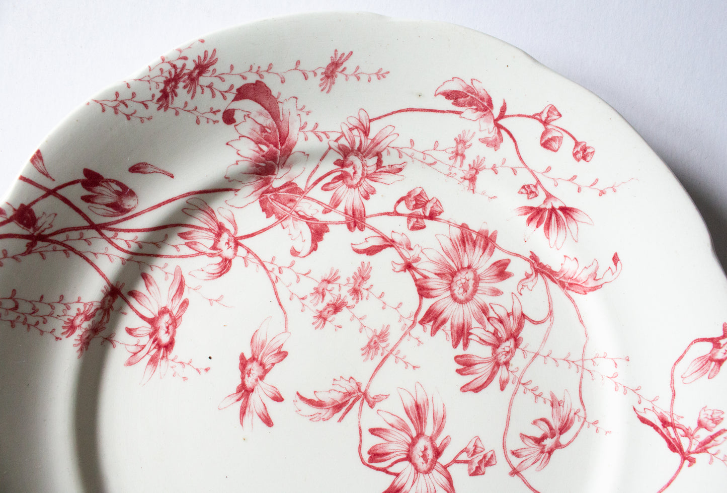 Antique G. W. Turner and Sons Tunstall Beatrice  Red and White Transferware 10.25" Dinner Plates (2)