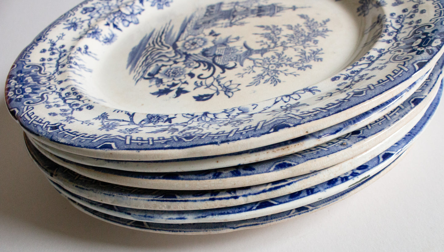 Vintage Blue and White Transferware Oriental Themed 10" Dinner Plates (6)