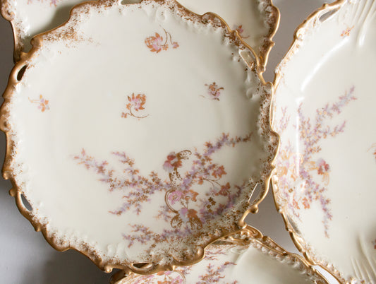 Limoges Floral  and Gilt Dessert Set