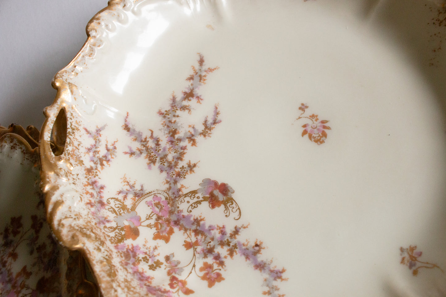 Limoges Floral  and Gilt Dessert Set