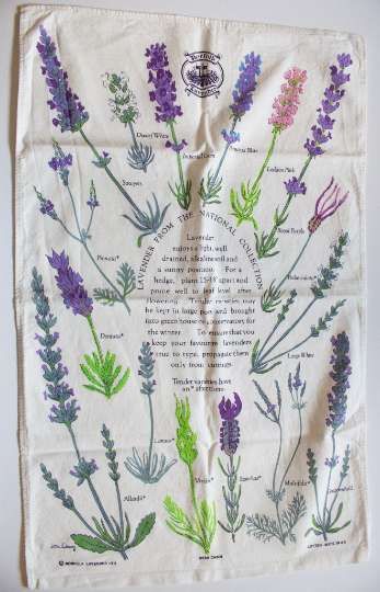 Vintage Norfolk Lavender Tea Towel