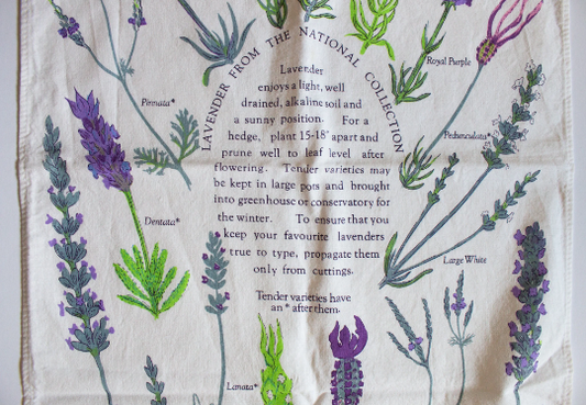 Vintage Norfolk Lavender Tea Towel