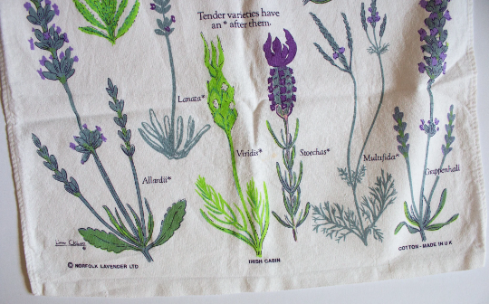 Vintage Norfolk Lavender Tea Towel