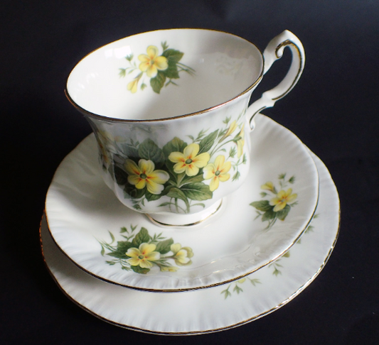 Paragon Bone China 'Primrose' Pattern Teacup Trio